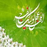 صدى المهدي