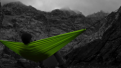 اضغط على الصورة لعرض أكبر. 

الإسم:	image.png 
مشاهدات:	7 
الحجم:	43.0 كيلوبايت 
الهوية:	862290